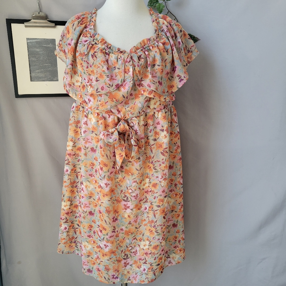Arula Floral Mini Dress 2X